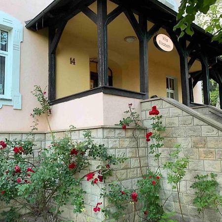 Villa Elizabeth Kudowa-Zdrój Exterior foto