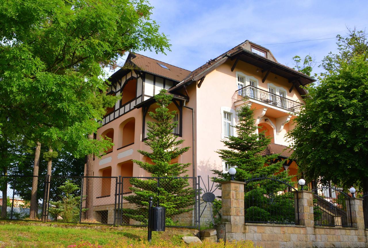 Villa Elizabeth Kudowa-Zdrój Exterior foto